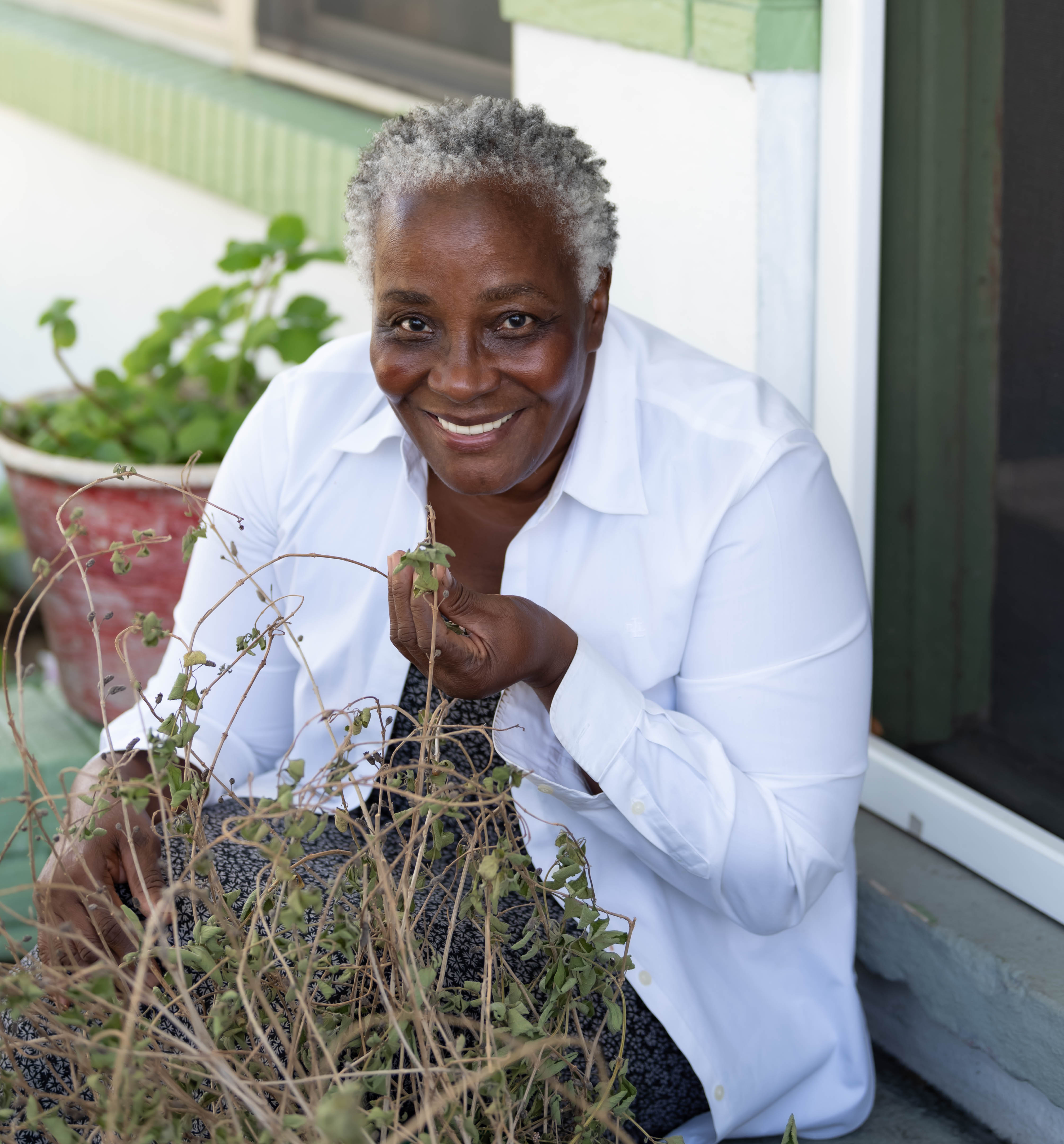 Herbs and edible plants growing in a Florida garden